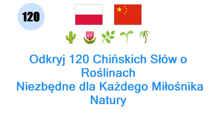 Odkryj 120 Chińskich Słów o Roślinach: Niezbędne dla Każdego Miłośnika Natury